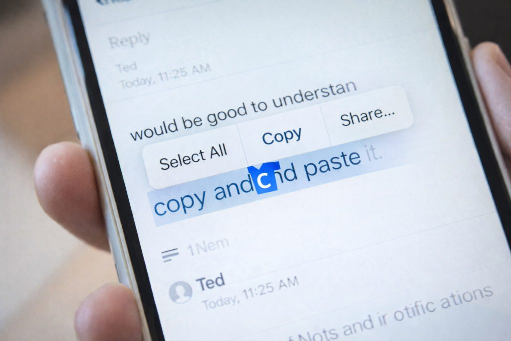 Image: copy menu visible